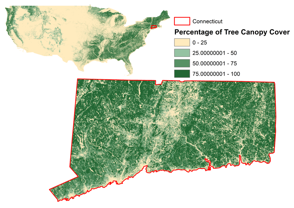 Tree Canopy Coverage in Connecticut